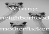 You Came to the Wrong Neighborhood