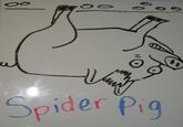 Spider-Pig / Harry Plopper