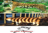 Close Enough