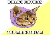 Hipster Kitty