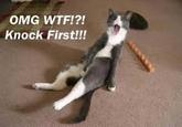 LOLcats