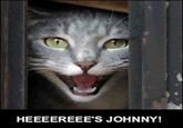 LOLcats