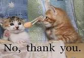 LOLcats