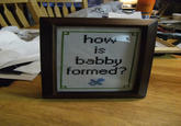 How Is Babby Formed?