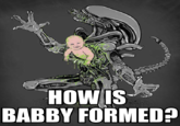 How Is Babby Formed?