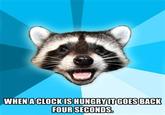 Lame Pun Coon