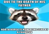 Lame Pun Coon