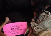 Dogshaming