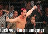 I'm an Anteater!!!