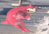Dodge Cat