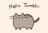 Pusheen