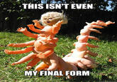 This Isn't Even My Final Form