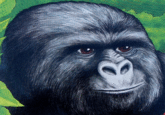 That Really Rustled My Jimmies