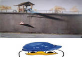 Dolan