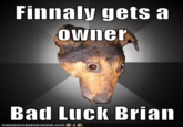 Depression Dog