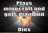 Depression Dog