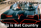 We Can't Stop Here, This is Bat Country