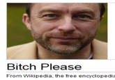 2010 Wikipedia Fundraising Campaign