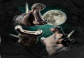 Three Wolf Moon