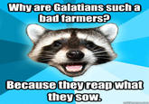 Lame Pun Coon