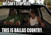 We Can't Stop Here, This is Bat Country
