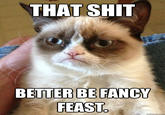 Grumpy Cat