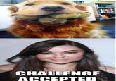 Challenge Accepted