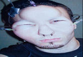 Bagel Heads
