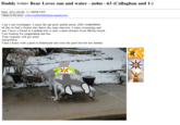 Craigslist