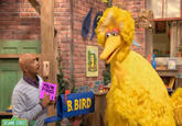 Fired Big Bird / Mitt Romney Hates Big Bird