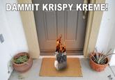 Krispy Kreme / Froggy Fresh