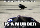 Insanity Crow