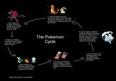 The X Cycle/Sonic cycle