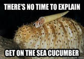 There's No Time To Explain