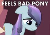 Pony Reactions