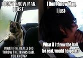 Introspective Pug