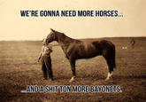Horses and Bayonets