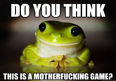 Therapy Frog