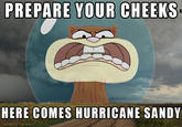 2012 Hurricane Sandy