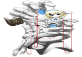 Touhou Project (東方Project)