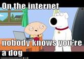 On the Internet, Nobody Knows You're a Dog