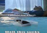 I Should Buy a Boat Cat