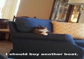 I Should Buy a Boat Cat