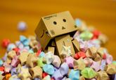 Danbo