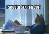 I Should Buy a Boat Cat