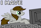 Wingboner & Clopping