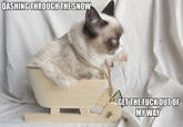 Grumpy Cat