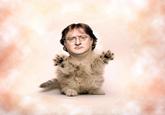 Gabe Newell
