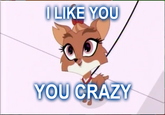 Littlest Pet Shop
