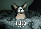 I Lied